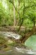Thailand: One of the park's many emerald pools, Than Bokkharani National Park, Krabi Province